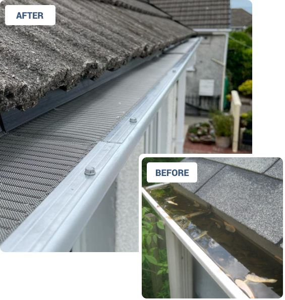 Protect Your Gutters with Raptor Rainwater Systems' Gutter Mesh Guard